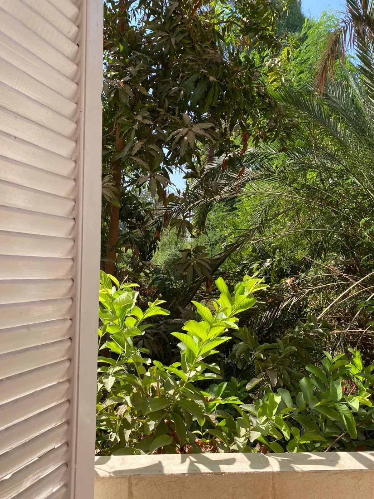 Abu Guest House Ασουάν Εξωτερικό φωτογραφία