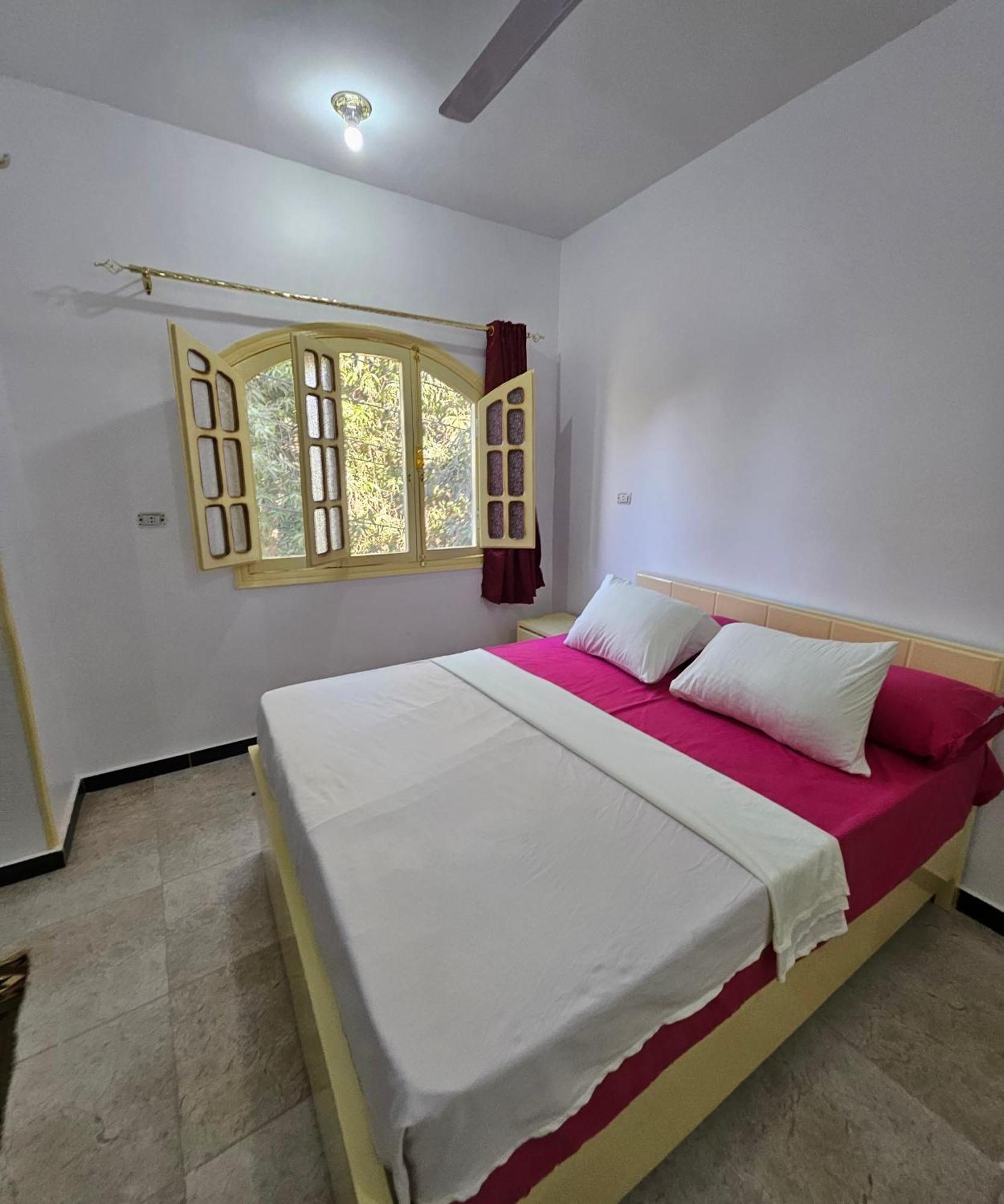 Abu Guest House Ασουάν Εξωτερικό φωτογραφία