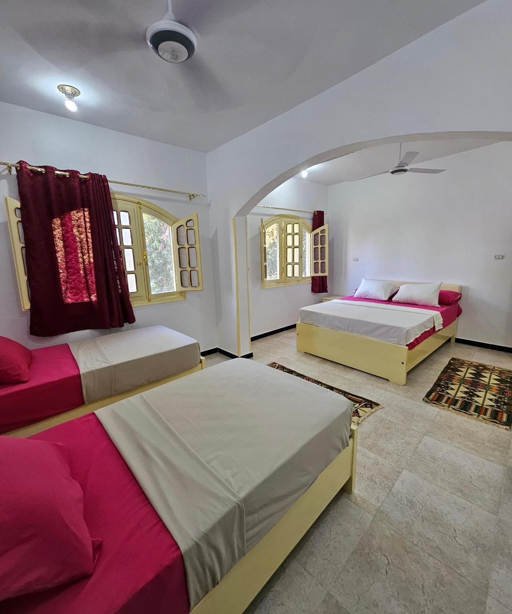 Abu Guest House Ασουάν Εξωτερικό φωτογραφία