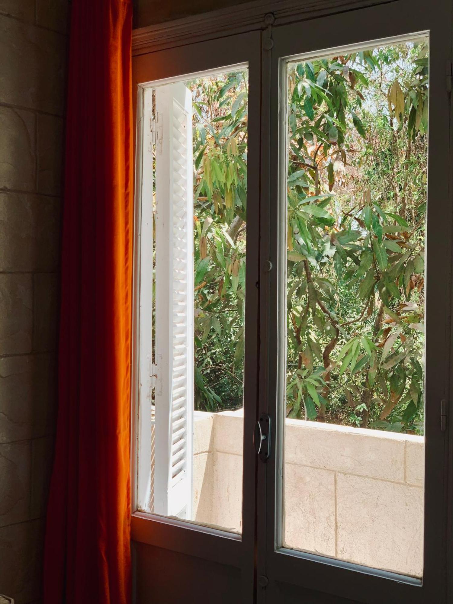 Abu Guest House Ασουάν Εξωτερικό φωτογραφία